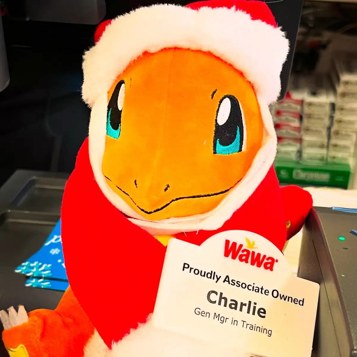 Not Quite Christmas Day Yet: Enjoy This Adorable Photo of Charlie the Char-santa