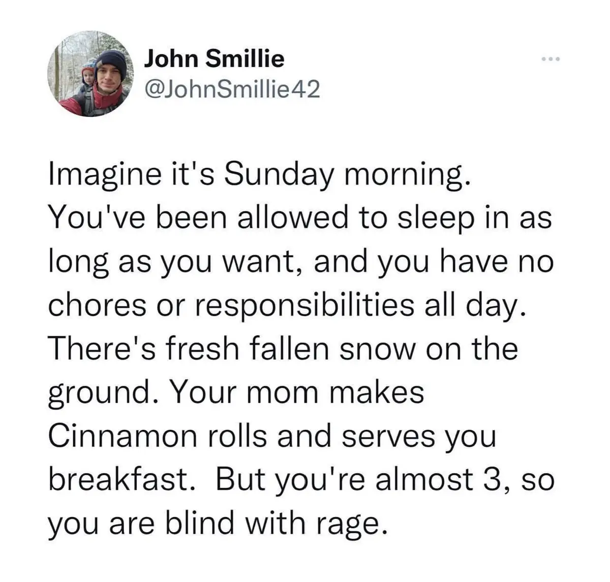 A screenshot of a tweet by John Smillie showing a text block describing an idyllic Sunday morning with snow, no chores, and…