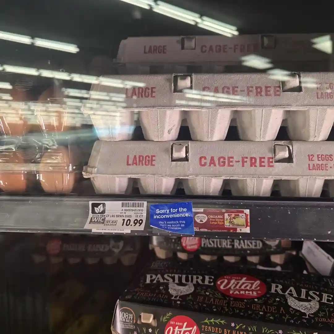 A grocery store egg shelf displays stacked cartons labeled 'LARGE CAGE-FREE' with a blue sticker that reads 'Sorry for the…
