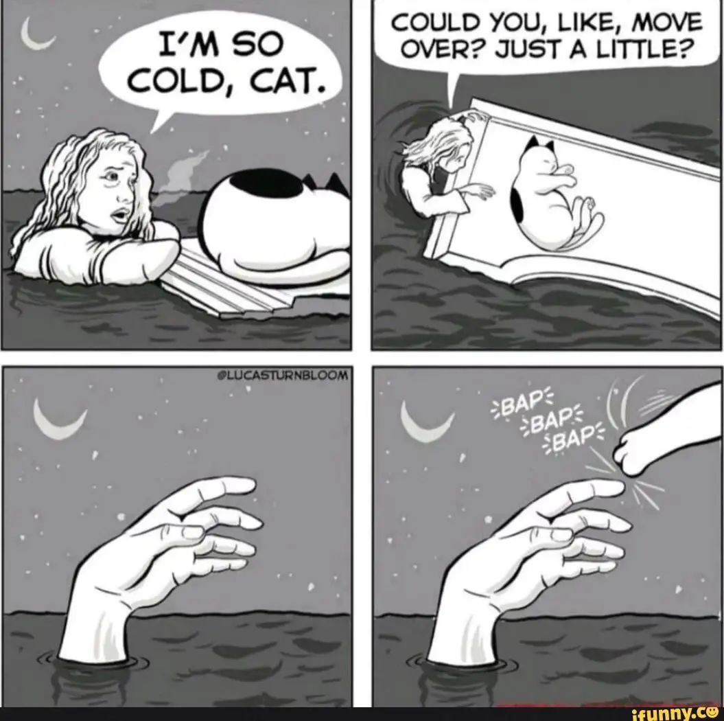 A four-panel comic strip shows a person in cold water next to a cat on a floating board, asking the cat to move over. The…