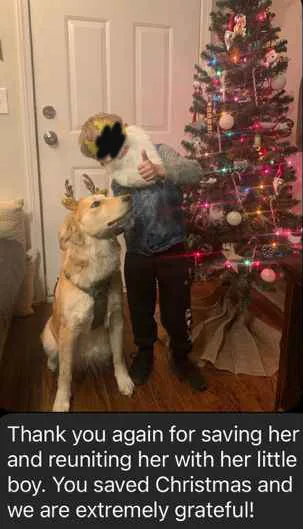 A person in a denim jacket and dark pants stands in a room with a decorated Christmas tree, holding a small dog wearing a…