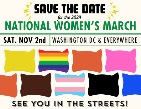 An image mimicking a political event flyer for the 2024 National Women's March, featuring a grid of eight cat-shaped pillows…