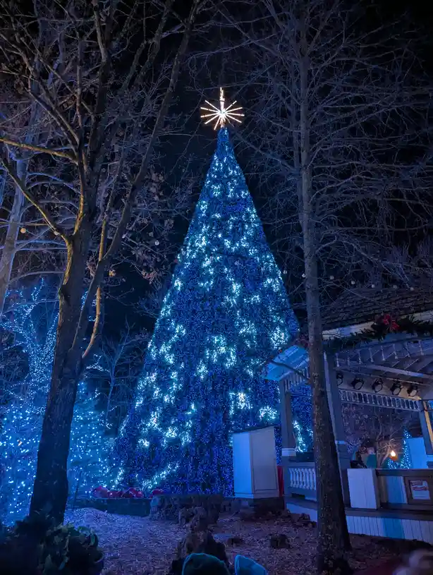 The stunning Christmas tree at Silver Dollar City.