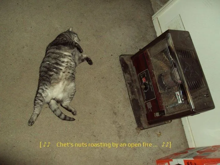 A tabby cat lies on its back on a carpeted floor, seemingly relaxed next to a portable space heater. The heater is turned on…