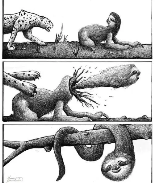 A three-panel black-and-white comic strip shows a sloth being attacked by a jaguar, then its body explodes into roots, then…