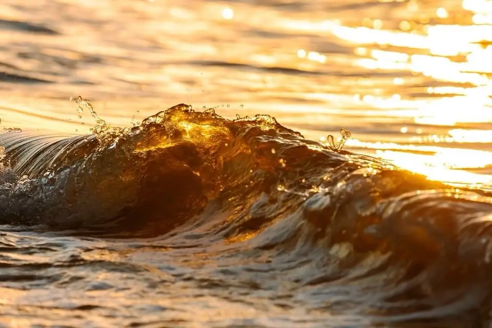 A close-up photograph of a golden-hued ocean wave cresting and splashing under warm sunlight, with sparkling water droplets…