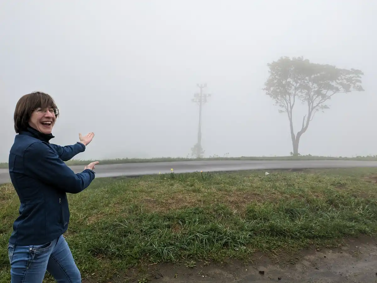 A person in a blue jacket and jeans laughs joyfully with arms outstretched in a foggy, open field beside a road. In the…