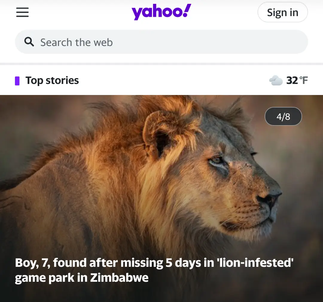 I can totally see why he went missing; he resembles a majestic lion!