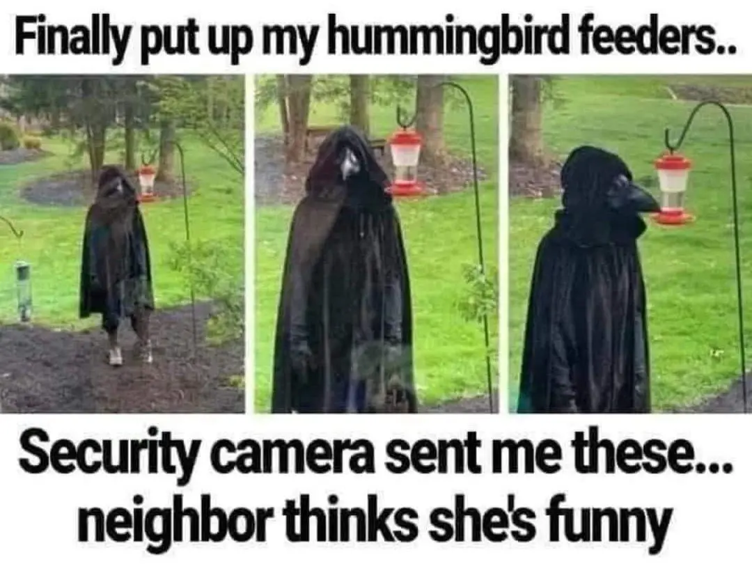A three-panel image shows a person in a black hooded cloak and a crow mask walking toward a hummingbird feeder, then…