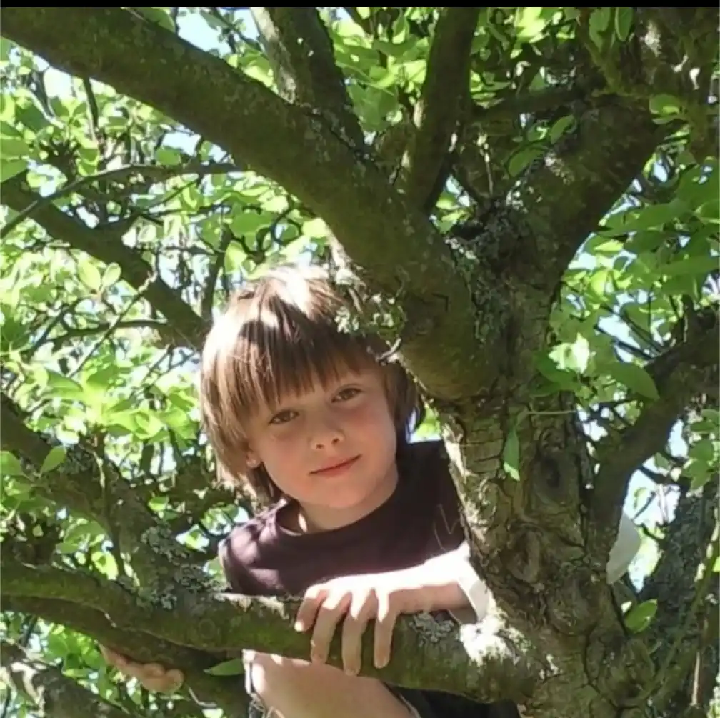 A young child with brown hair and a dark shirt is peeking out from behind thick tree branches, smiling at the camera. The…