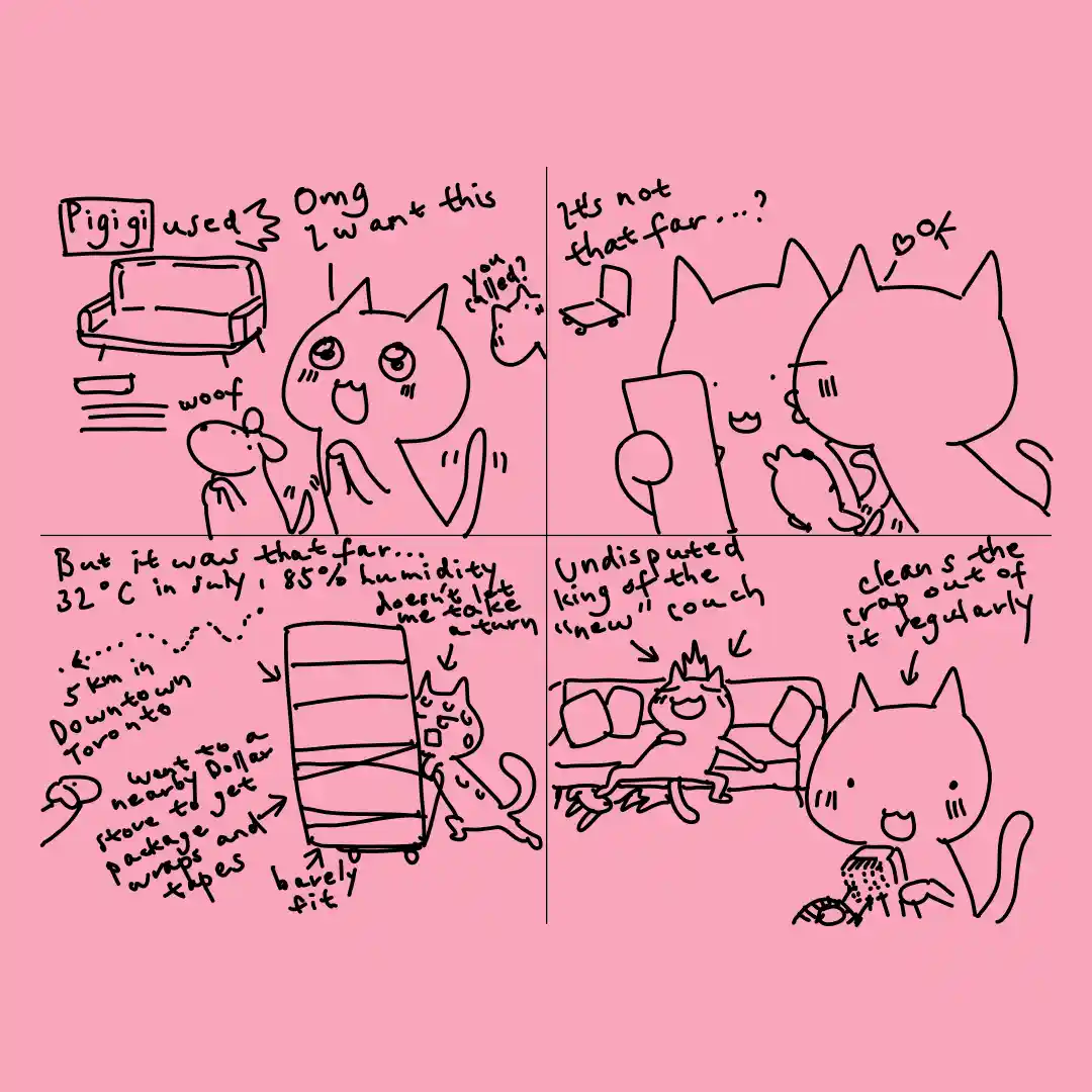 A four-panel comic strip with pink background and black line art of cartoon cats. In panel 1, a cat excitedly wants a couch…