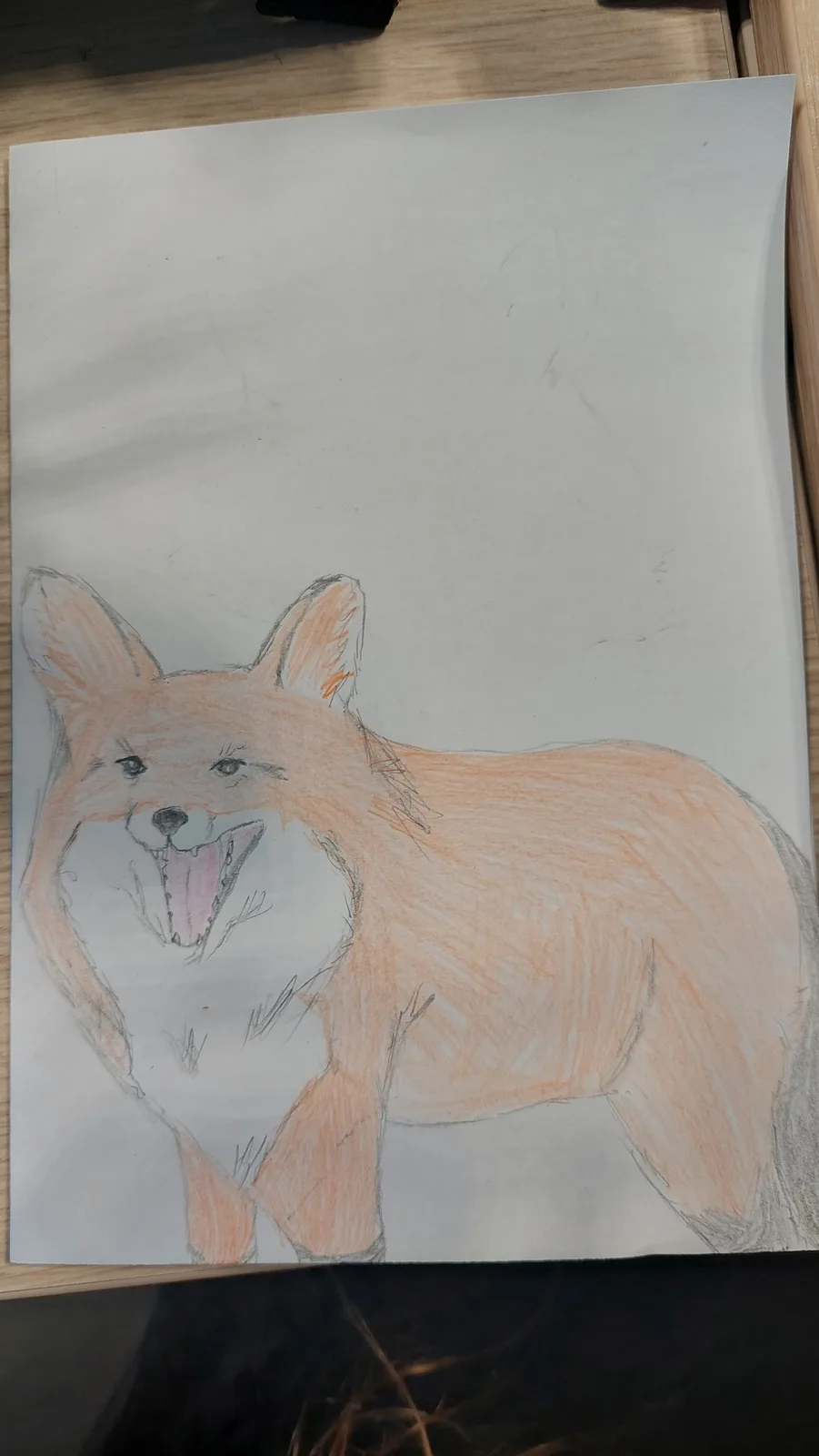 A hand-drawn colored pencil sketch of a fox on white paper, placed on a wooden surface. The fox is depicted with an…