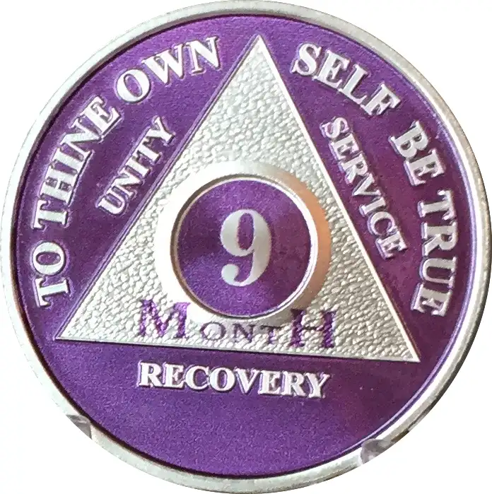 A purple and silver circular recovery token with a large triangle in the center. The triangle contains the number 9 and the…