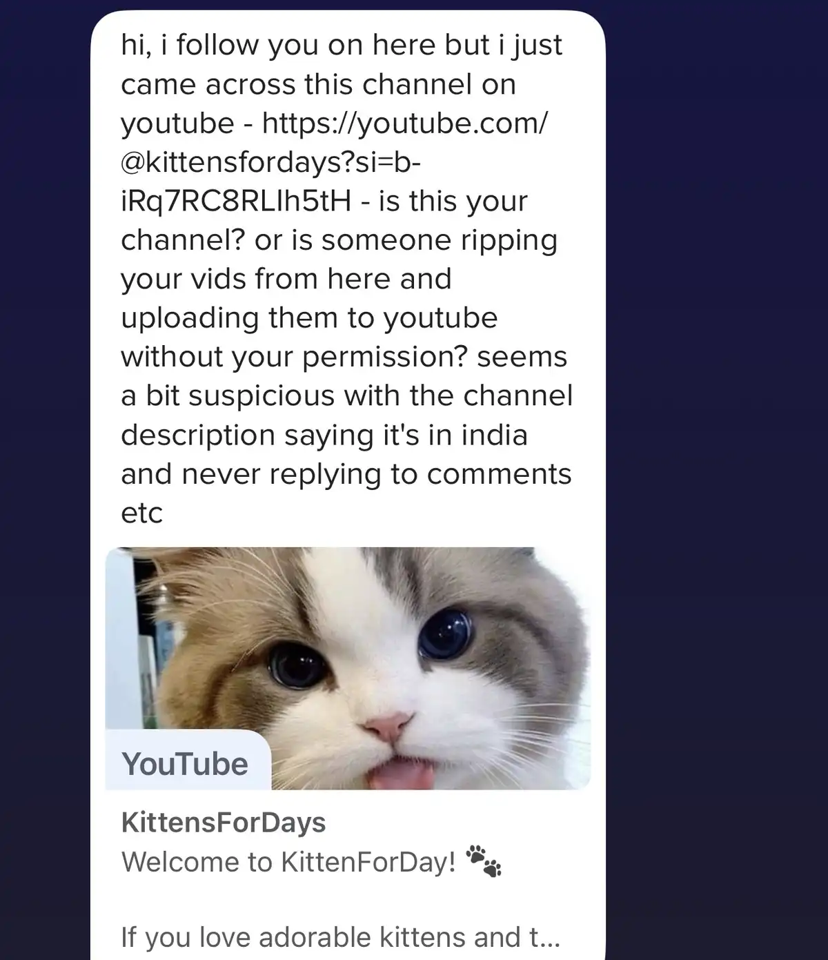 A screenshot of a text message shows a user asking if a YouTube channel named 'KittensForDays' is legitimate or if someone…