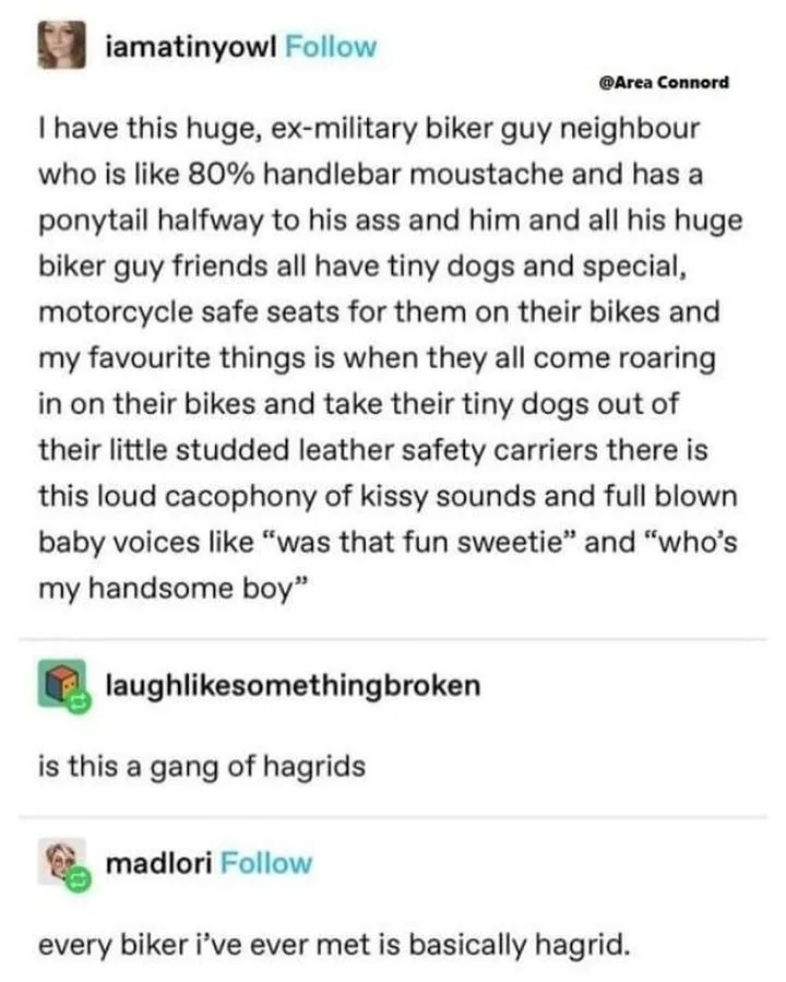 A screenshot of a Twitter thread where the original poster describes their neighbor and his biker friends with tiny dogs…