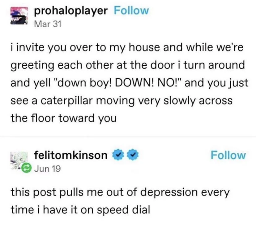 The image displays two social media posts. The first, by 'prohaloplayer', describes inviting someone over and yelling 'down…