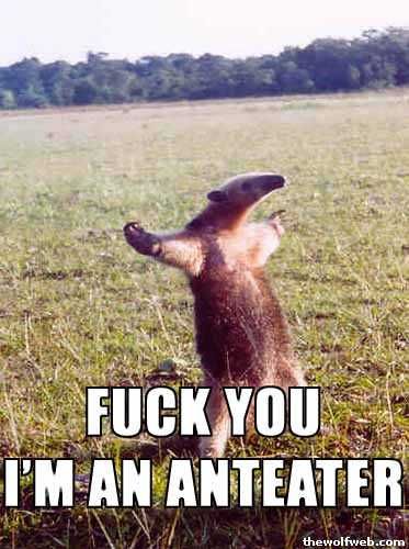 A brown anteater stands upright in a grassy field with arms raised, looking upward. Large white text overlaid on the image…