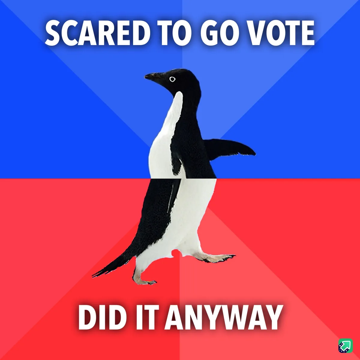 A penguin walks across a red and blue background, with the text 'SCARED TO GO VOTE' at the top and 'DID IT ANYWAY' at the…