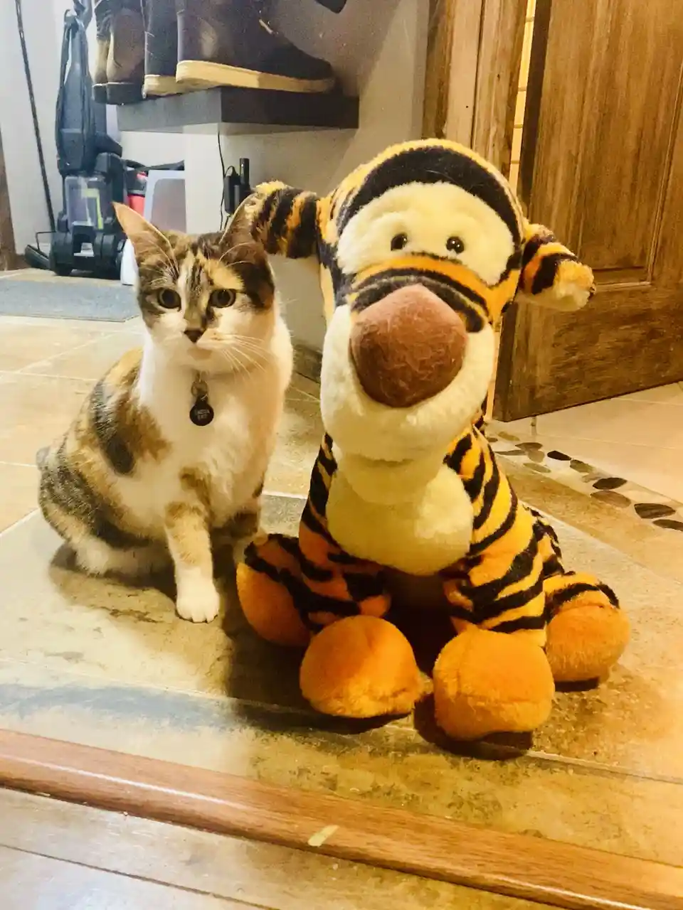 A calico cat with a collar sits beside a large plush Tigger toy on a tiled floor, looking directly at the camera with a…