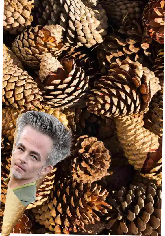 The image shows a close-up of many pinecones with a cutout of actor Chris Pine's face superimposed over them, appearing to…