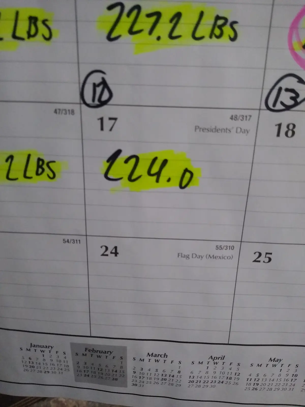 Day 19 of My Daily Weigh-In and Calorie Tracking