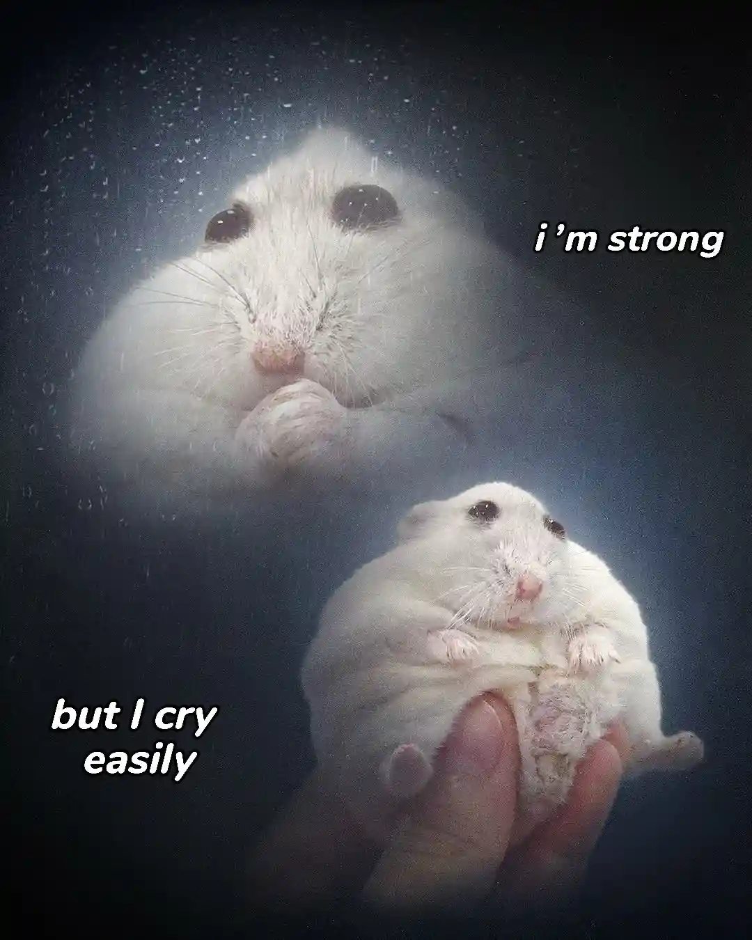 Unbelievably Strong: A Display of Power