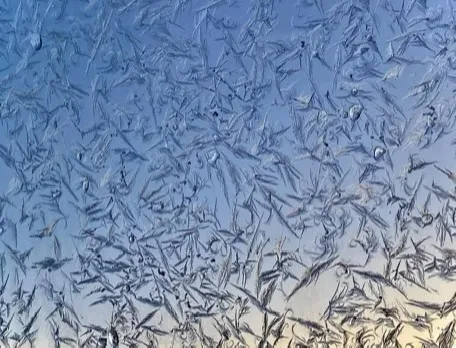 A close-up photograph of intricate frost patterns covering a glass surface, with a blue sky and warm sunset glow visible…