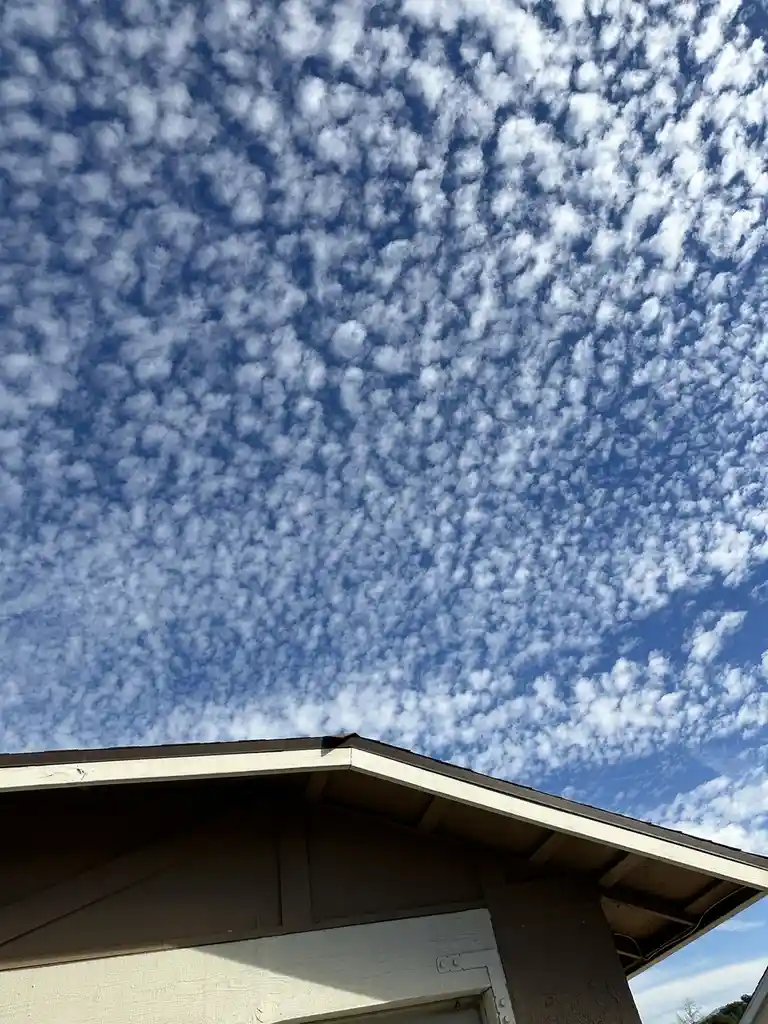Witness the bizarre clouds this morning.