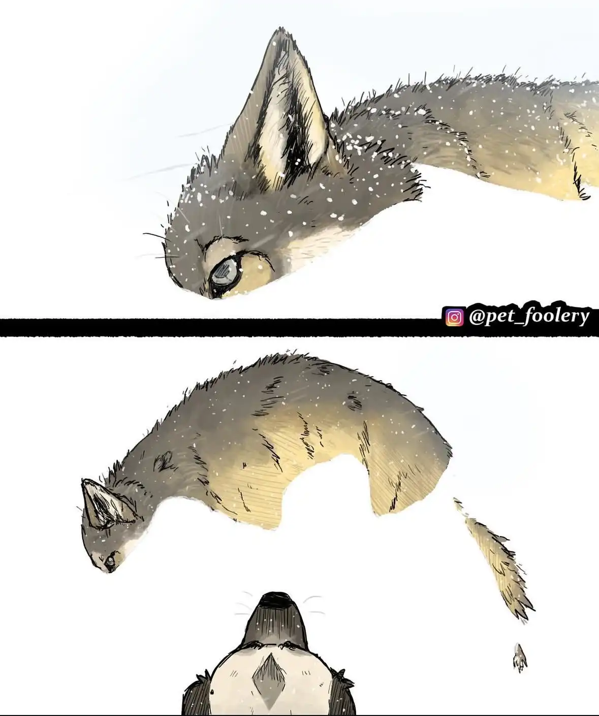 The image shows two panels of a stylized cat illustration. The top panel shows the cat's head and neck looking down. The…