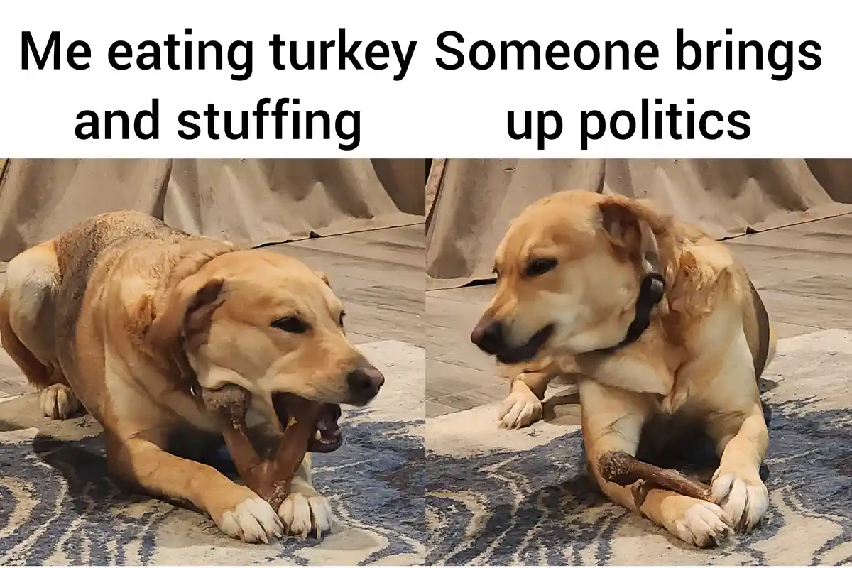 A split image shows a light brown dog happily chewing a large turkey bone in the left panel, and the same dog looking…
