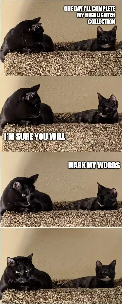 A four-panel meme featuring two black cats on a carpeted cat bed. The first cat says 'ONE DAY I'LL COMPLETE MY HIGHLIGHTER…