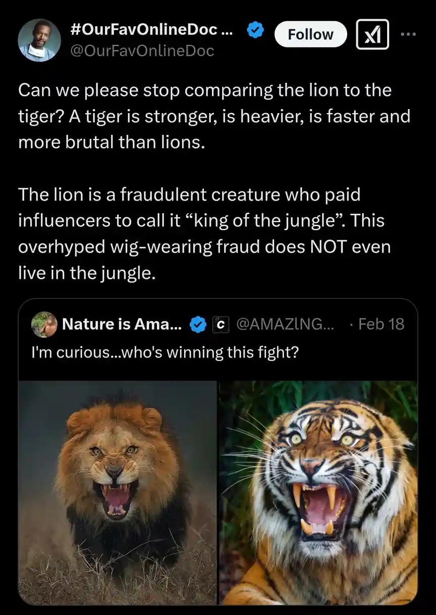 A screenshot of a Twitter thread where a user argues that tigers are superior to lions, calling lions fraudulent and not…