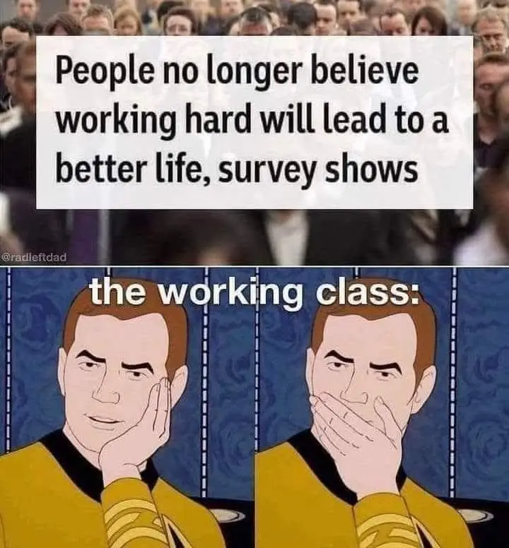 The image is a two-panel meme featuring the animated character Captain Jean-Luc Picard from Star Trek. In the top panel, a…