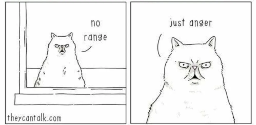 Two-panel comic strip featuring a cartoon cat. In the first panel, the cat sits on a windowsill with text saying 'no range'…