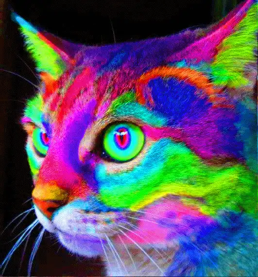 The image displays six panels of a cat's face, each with wildly saturated, psychedelic colors—neon greens, purples, pinks…