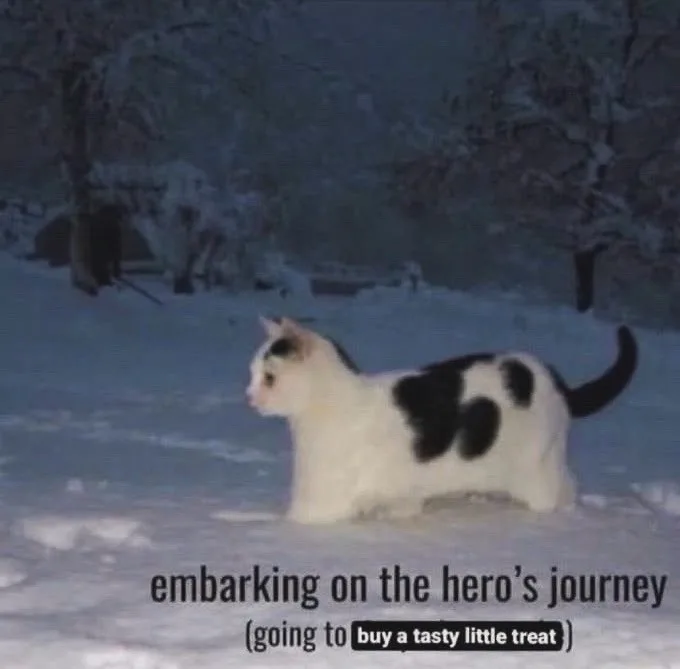 A black-and-white cat stands in a snowy outdoor setting, looking off to the side with a serious expression. The image has…