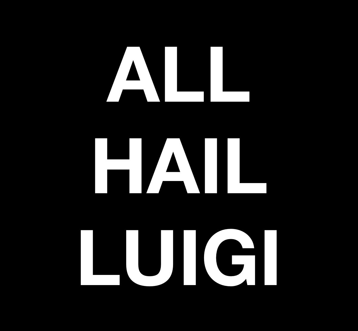 A black background with large, bold, white, sans-serif text centered in three lines reading 'ALL', 'HAIL', and 'LUIGI'…