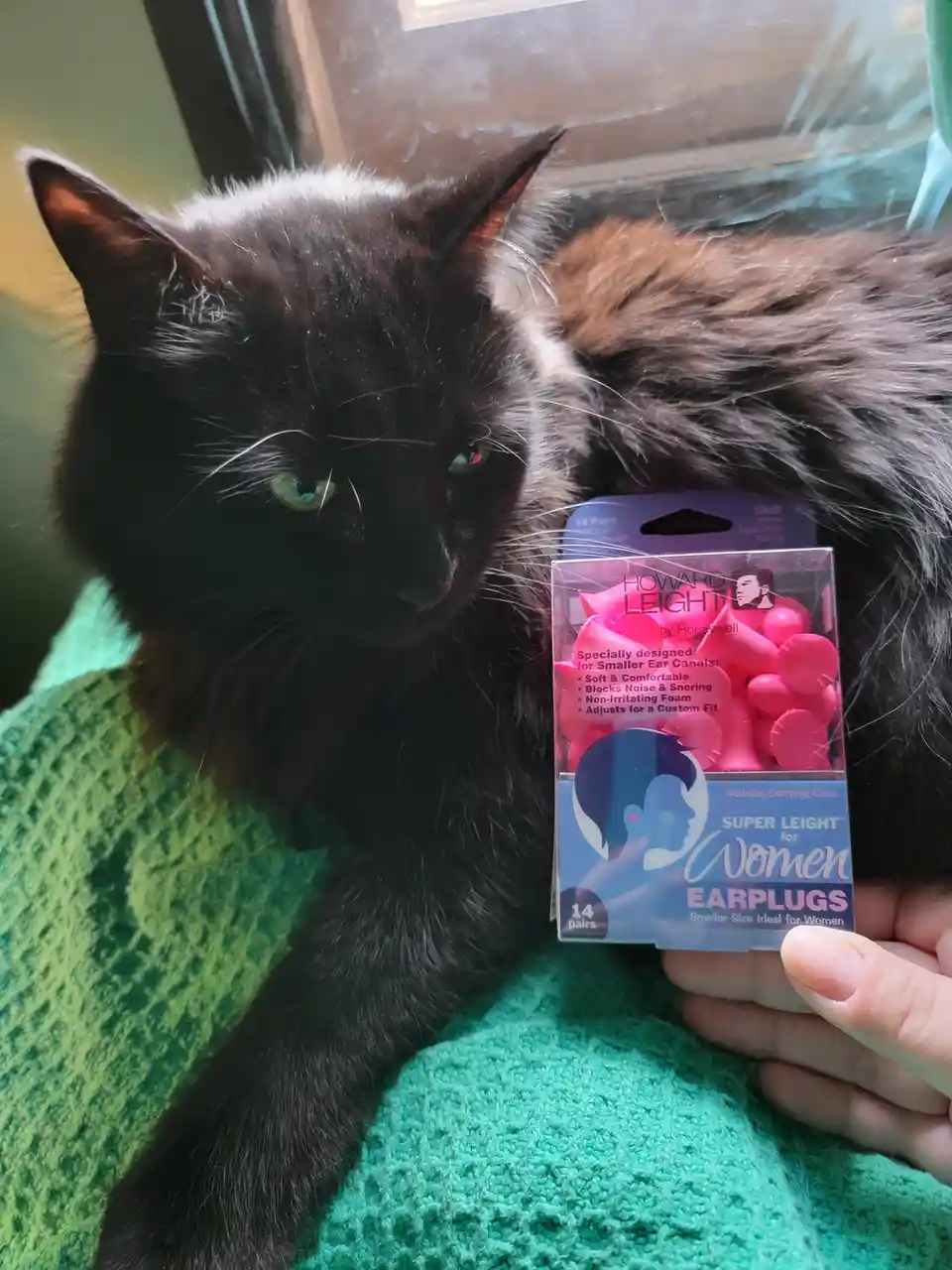 A black cat with green eyes sits on a green knitted blanket, looking directly at the camera with a slightly annoyed…
