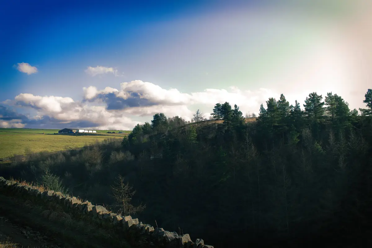 A scenic landscape photo shows a bright blue sky with fluffy white clouds over a green field and a dark forested hillside. A…